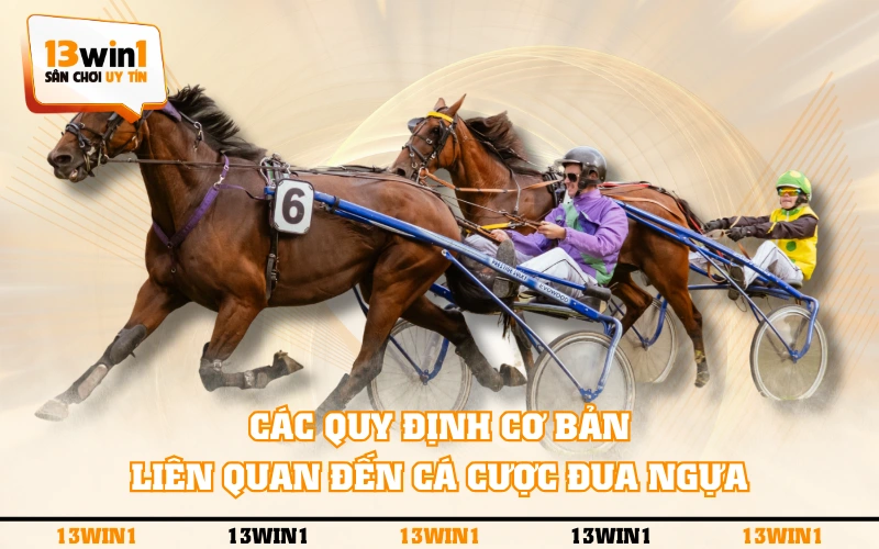 Cá Cược Đua Ngựa Là Gì Và Các Quy Định Cơ Bản Cần Biết 3 Các quy định cơ bản liên quan đến cá cược đua ngựa