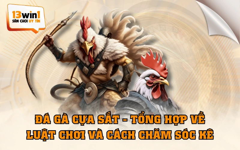 Đá Gà Cựa Sắt - Tổng Hợp Về Luật Chơi Và Cách Chăm Sóc Kê