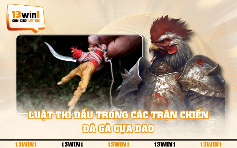 Đá Gà Cựa Dao - Quy Tắc Luật Chơi Và 3 Chiến Kê Điển Hình 4 Luật thi đấu trong các trận chiến đá gà cựa dao