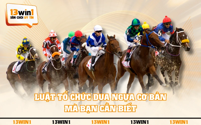Cá Cược Đua Ngựa Là Gì Và Các Quy Định Cơ Bản Cần Biết 2 Luật tổ chức đua ngựa cơ bản mà bạn cần biết