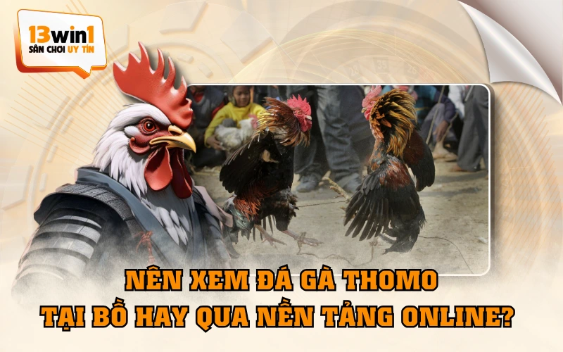 Nên Xem Đá Gà Thomo Tại Bồ Hay Qua Nền Tảng Online?