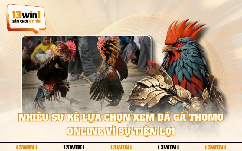 Nên Xem Đá Gà Thomo Tại Bồ Hay Qua Nền Tảng Online? 4 Nhiều sư kê lựa chọn xem đá gà Thomo online vì sự tiện lợi