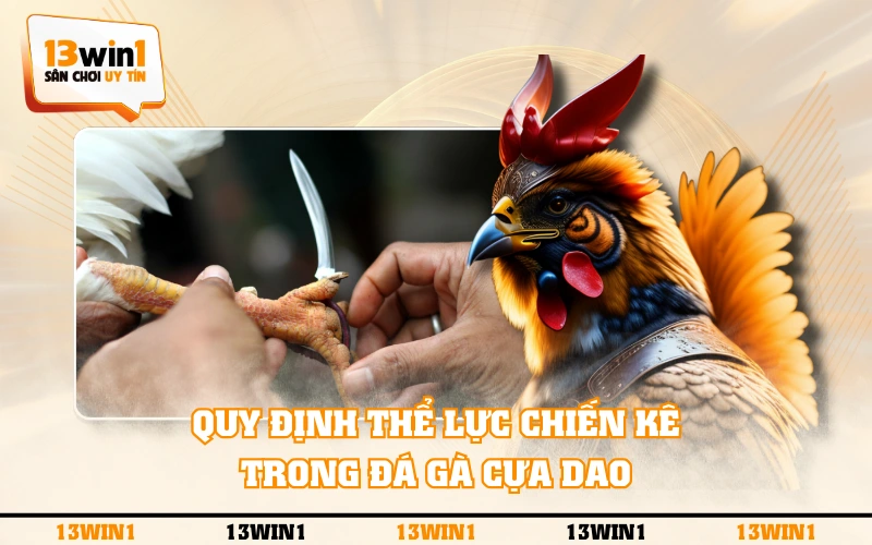Đá Gà Cựa Dao - Quy Tắc Luật Chơi Và 3 Chiến Kê Điển Hình 3 Quy định thể lực chiến kê trong đá gà cựa dao