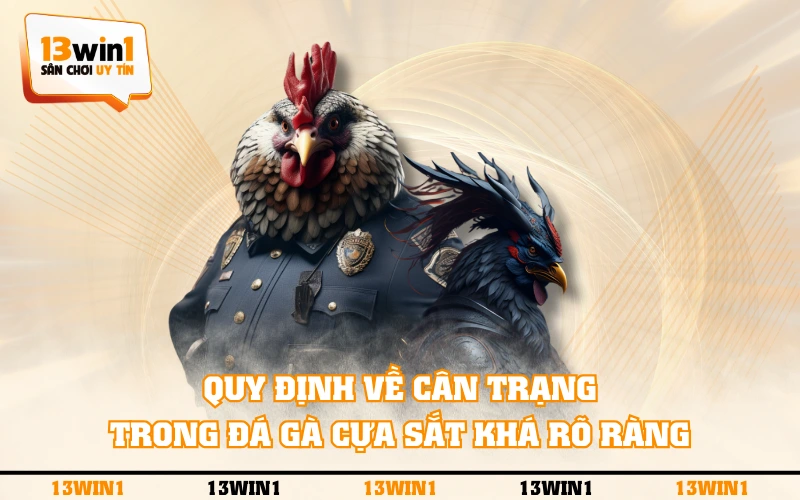Đá Gà Cựa Sắt - Tổng Hợp Về Luật Chơi Và Cách Chăm Sóc Kê 2 Quy định về cân trạng trong đá gà cựa sắt khá rõ ràng