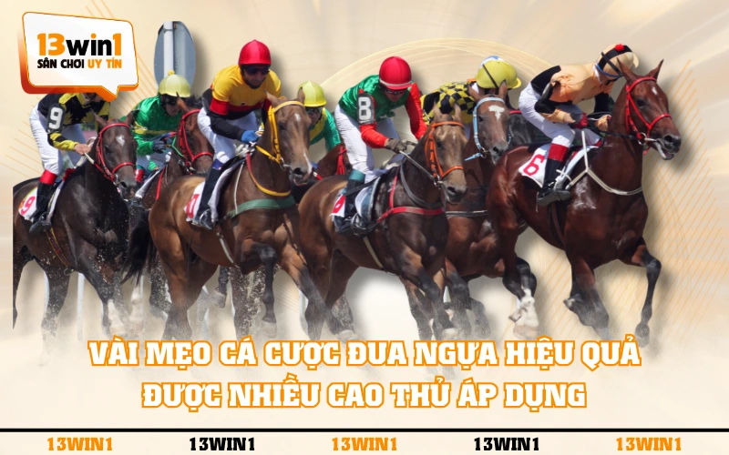 Cá Cược Đua Ngựa Là Gì Và Các Quy Định Cơ Bản Cần Biết 4 Vài mẹo cá cược đua ngựa hiệu quả được nhiều cao thủ áp dụng