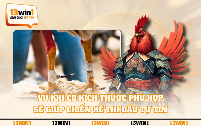 Đá Gà Cựa Sắt - Tổng Hợp Về Luật Chơi Và Cách Chăm Sóc Kê 3 Vũ khí có kích thước phù hợp sẽ giúp chiến kê thi đấu tự tin